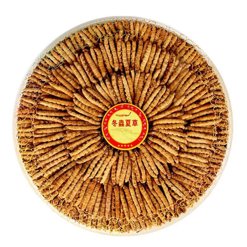 批发冬虫夏草冻干虫草一件代发2023年新鲜冬虫夏草