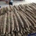 【精品山药】九斤黄山药，优质产品质量口感好基地直发