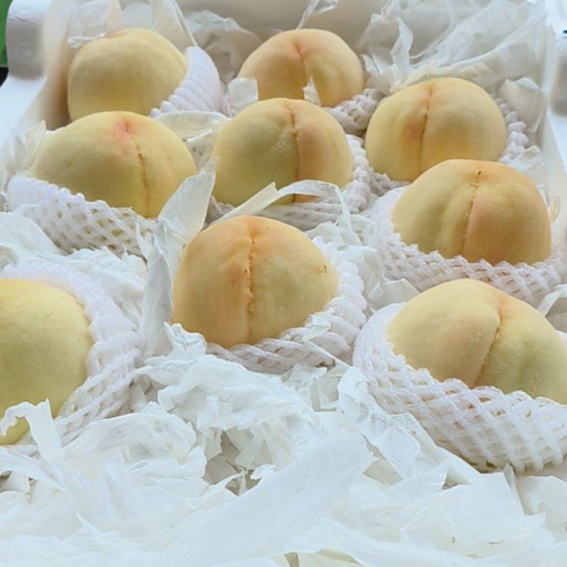 新沂水蜜桃白凤
