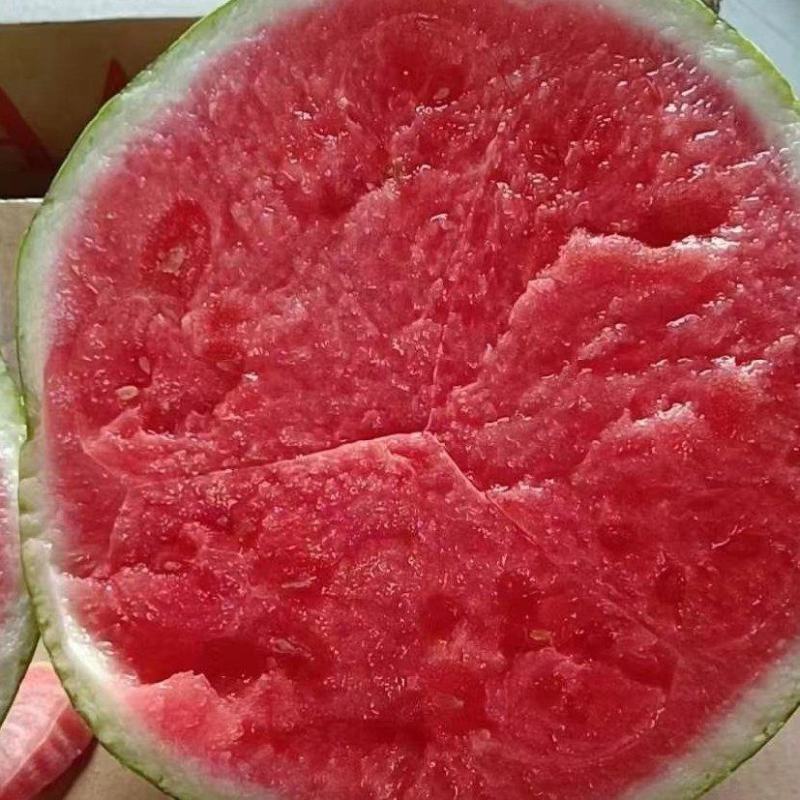 湖北西瓜无籽西瓜黑皮无籽西瓜黑宝石产地看货论价