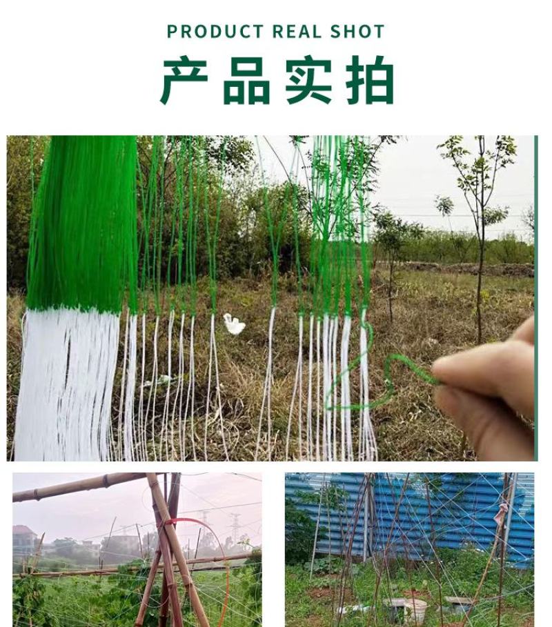 粗六股黄瓜爬藤网苦瓜爬藤网丝瓜爬藤网吊瓜专用