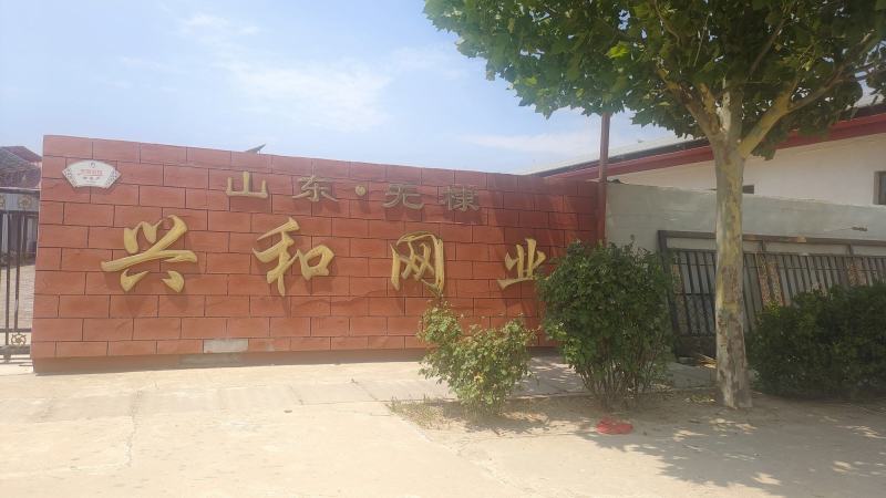 粗六股黄瓜爬藤网苦瓜爬藤网丝瓜爬藤网吊瓜专用