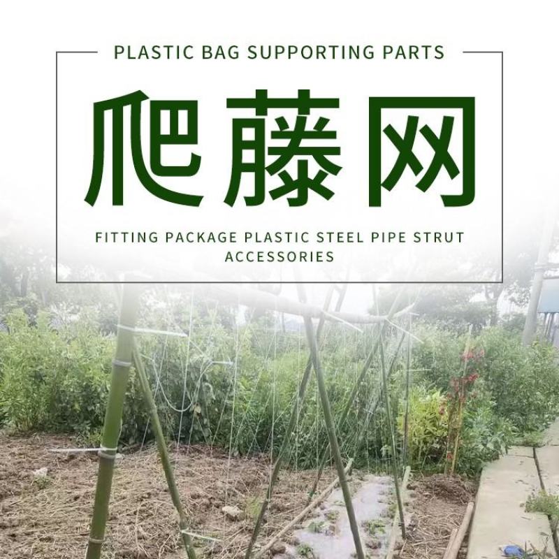 【豆角类专用】豇豆荷兰豆豆角爬藤网种植藤蔓类蔬菜