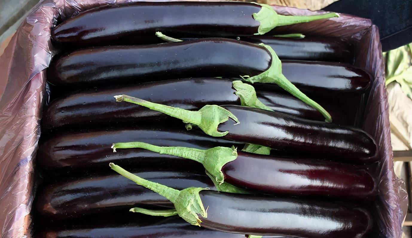 茄子与虾的食材组合图