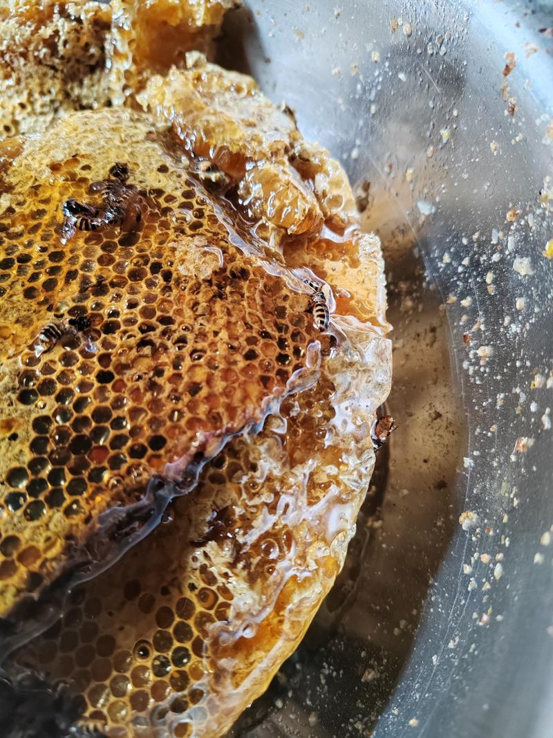 广西桂林野生蜂蜜大量上市对接全国客商欢迎致电联系