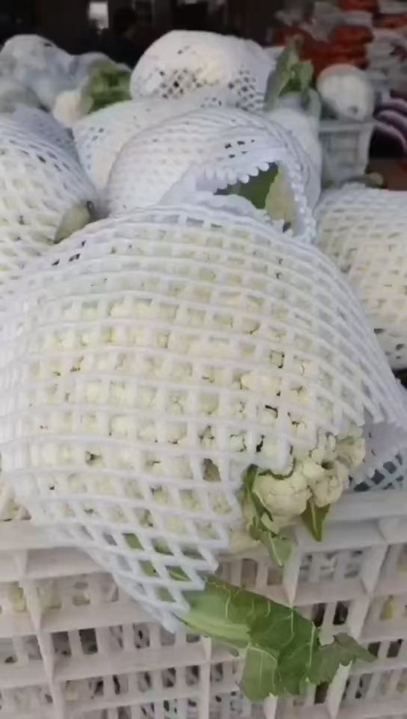 湖北荆州有机花菜现摘现发大量供应品质保障代发全国