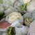 湖北荆州有机花菜现摘现发大量供应品质保障代发全国