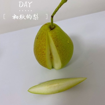 红香酥梨一件代发