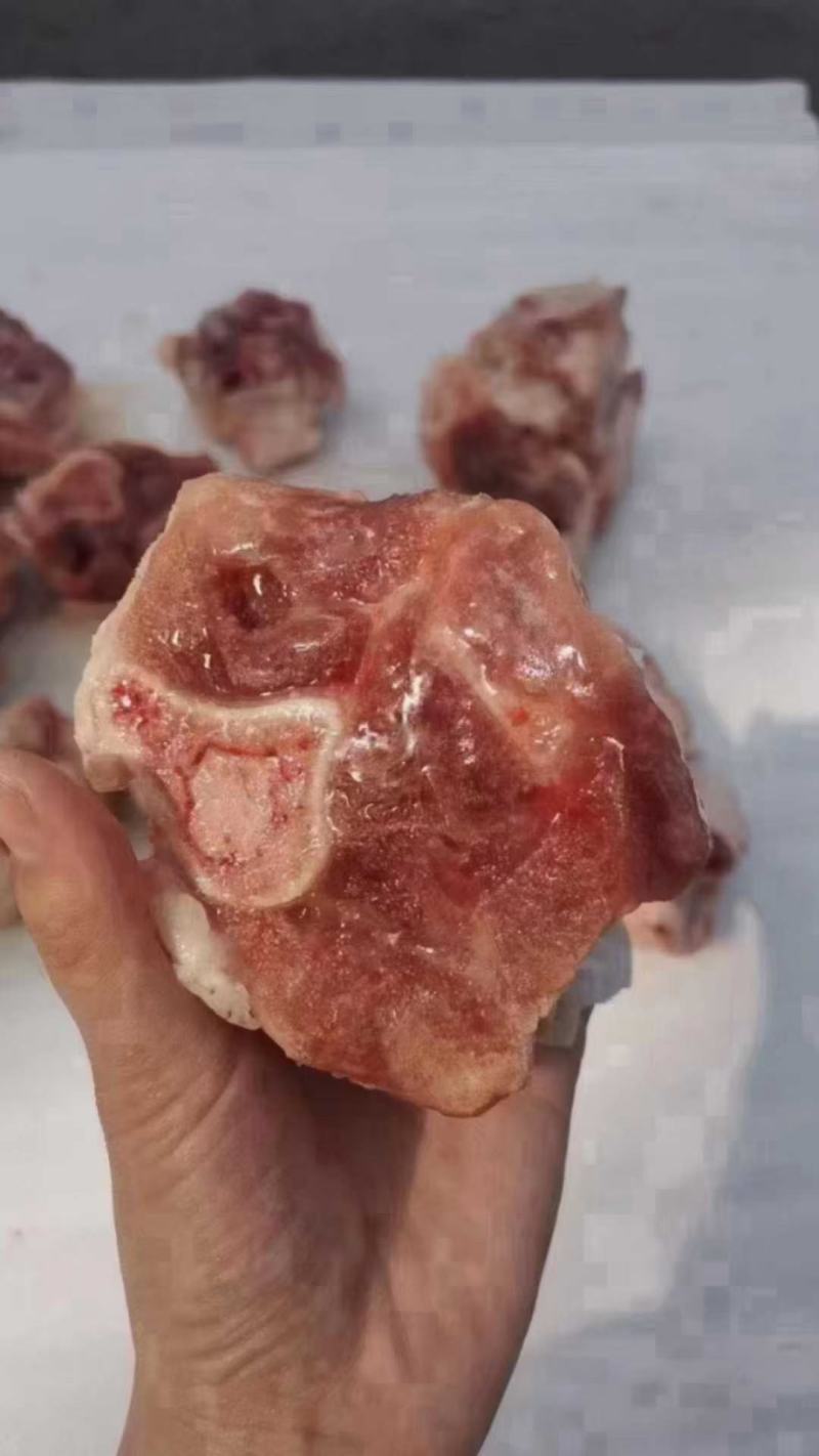285后肘骨块