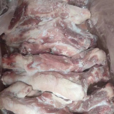满肉整根后腿骨