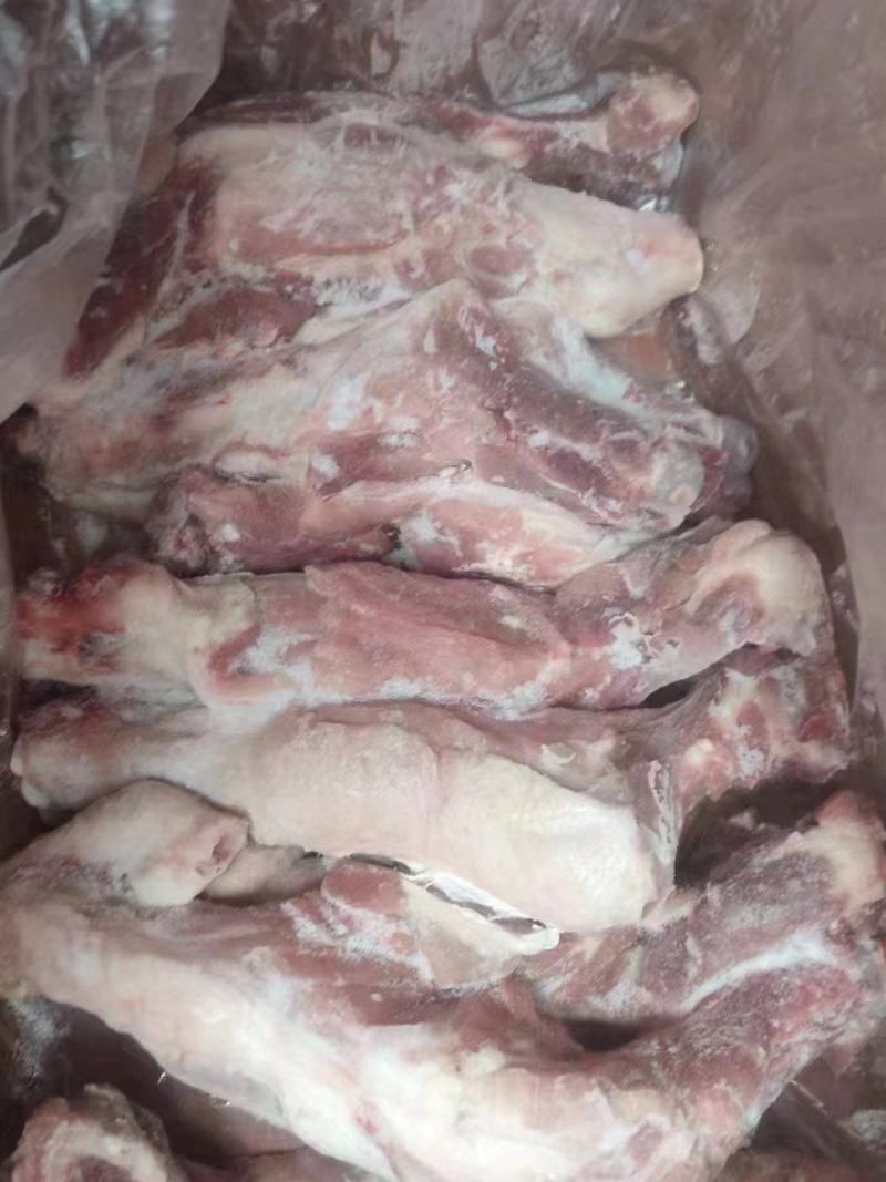 满肉整根后腿骨