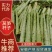 安徽莴笋杆子青皮青肉供市场加工厂产地直发