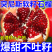 一件代发/社区团购/四川大凉山突尼斯软籽石榴5斤礼盒装