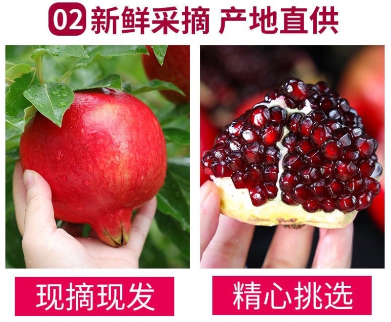 一件代发/社区团购/四川大凉山突尼斯软籽石榴5斤礼盒装