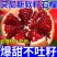 一件代发/社区团购/四川大凉山突尼斯软籽石榴5斤礼盒装