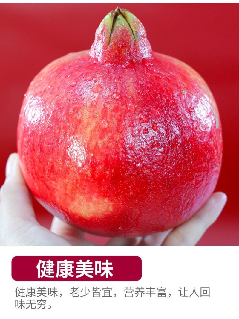一件代发/社区团购/四川大凉山突尼斯软籽石榴5斤礼盒装