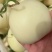 精品白莎蜜甜瓜小白瓜皮薄脆甜对接电商市场