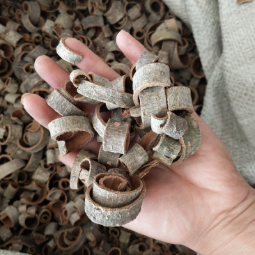 厚朴产地四川振兴药材批发川朴