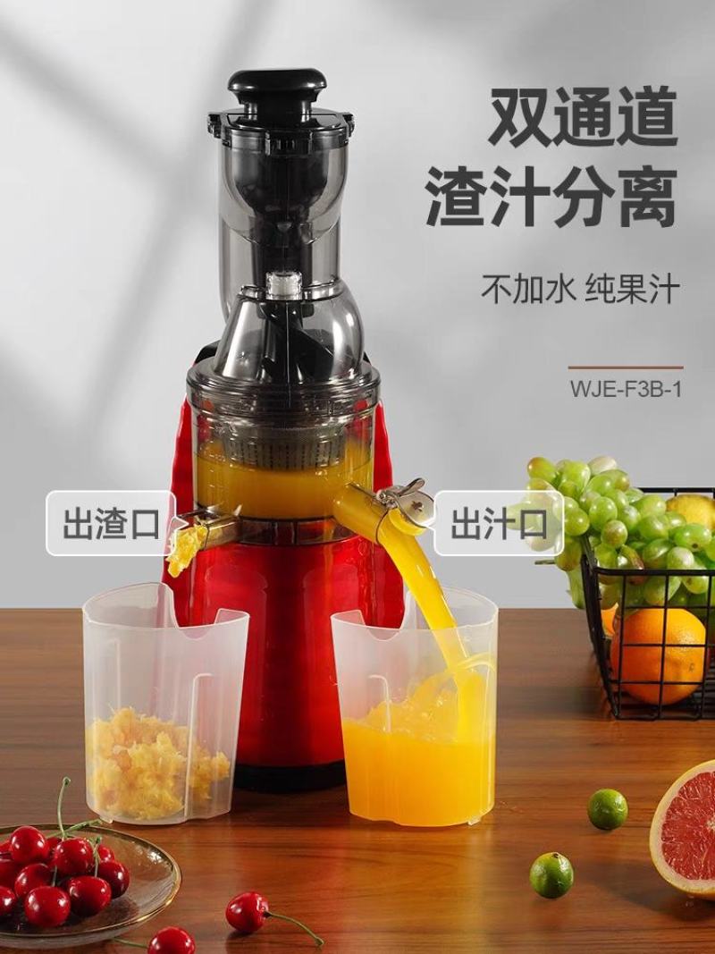 凡品大口径榨汁机汁渣分离家用水果蔬菜商用过滤原汁机多功能