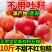 大凉山突尼斯软子石榴/社区团购/一件代发5斤精品礼盒装