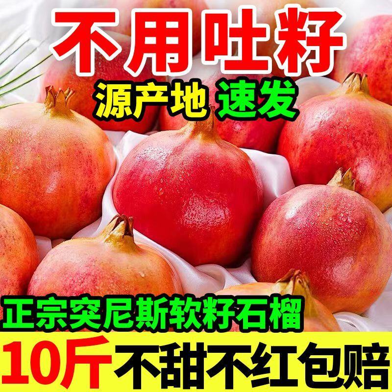 大凉山突尼斯软子石榴/社区团购/一件代发5斤精品礼盒装