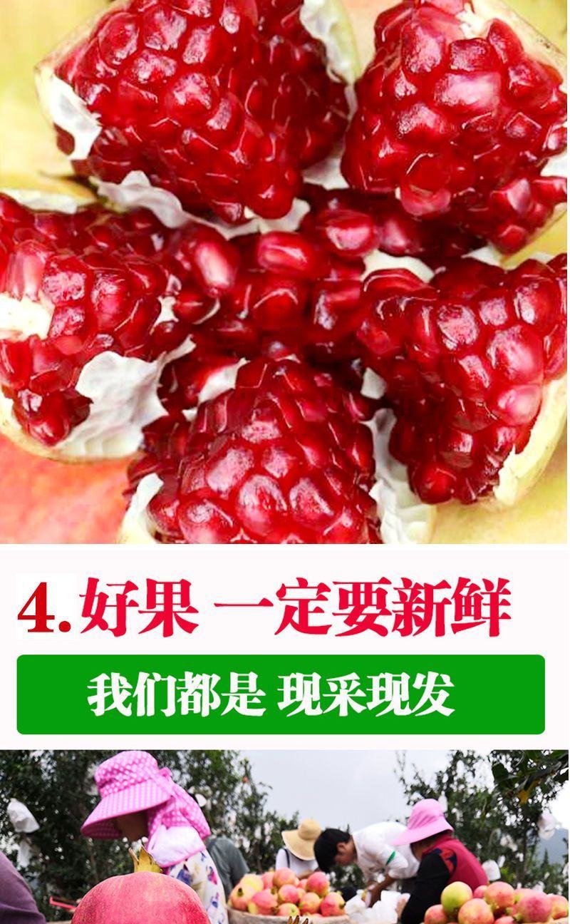 大凉山突尼斯软子石榴/社区团购/一件代发5斤精品礼盒装
