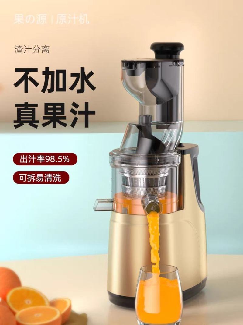 榨汁机家用渣汁分离水果全自动小型果蔬果肉多功能炸果汁机原