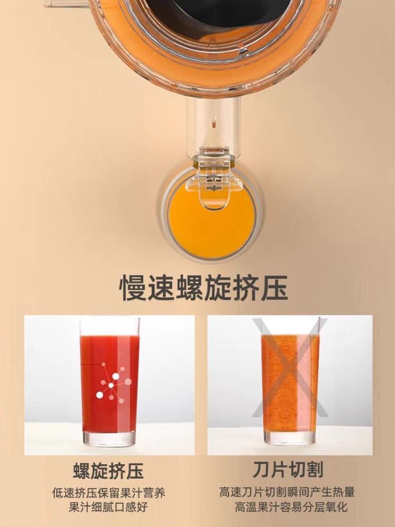 榨汁机家用渣汁分离水果全自动小型果蔬果肉多功能炸果汁机原