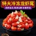 小龙虾尾小龙虾5斤鲜活整箱非无冰1斤商用冷冻虾尾批发网红