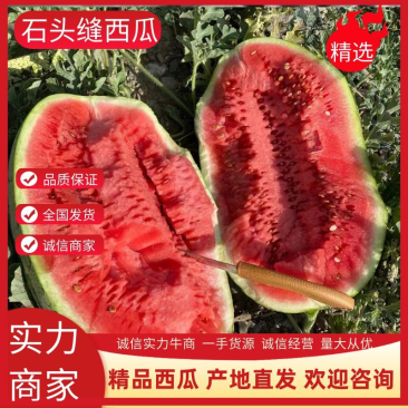 精品宁夏中卫硒砂瓜石头缝里的西瓜个头大均匀价格美丽