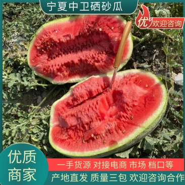 宁夏中卫硒砂瓜石头缝里的西瓜价格美丽10斤打底品质三包