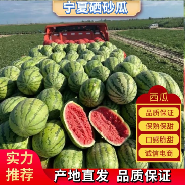 宁夏中卫西瓜硒砂瓜个头大均匀石头瓜价格美丽产地直供
