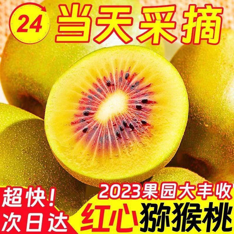 【一件代发/社区团购】四川蒲江红心猕猴桃原产地礼盒装