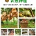 【一件代发/社区团购】四川蒲江红心猕猴桃原产地礼盒装