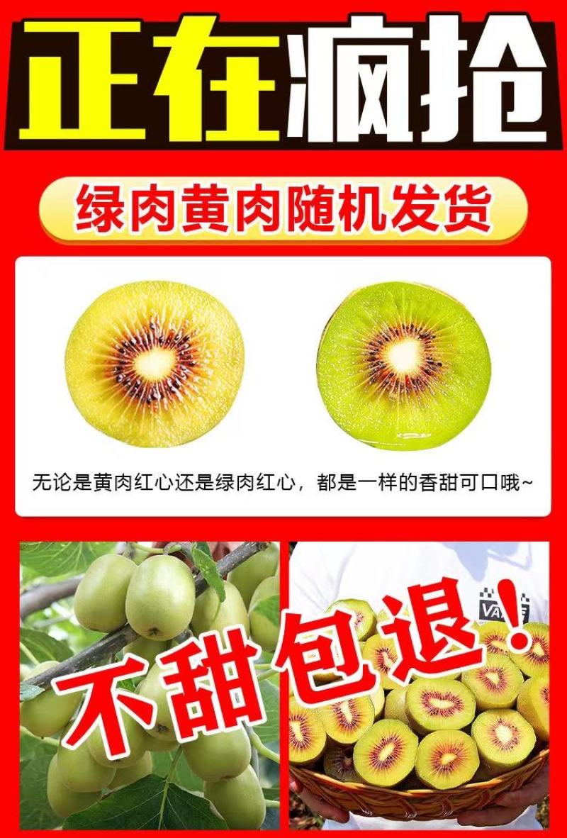 【一件代发/社区团购】四川蒲江红心猕猴桃原产地礼盒装