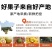 【一件代发/社区团购】四川蒲江红心猕猴桃原产地礼盒装