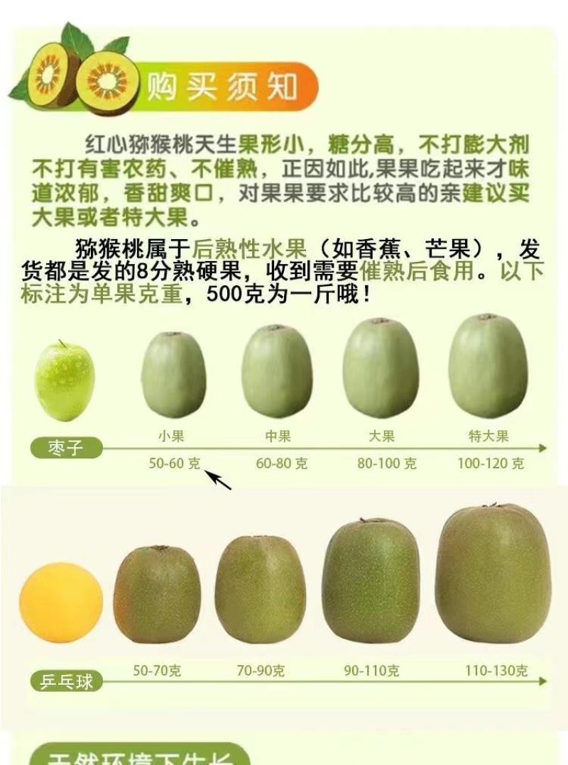【一件代发/社区团购】四川蒲江红心猕猴桃原产地礼盒装