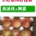 四川会理突尼斯软子石榴大量供应市场社区团购电商一件代发