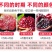 四川会理突尼斯软子石榴大量供应市场社区团购电商一件代发