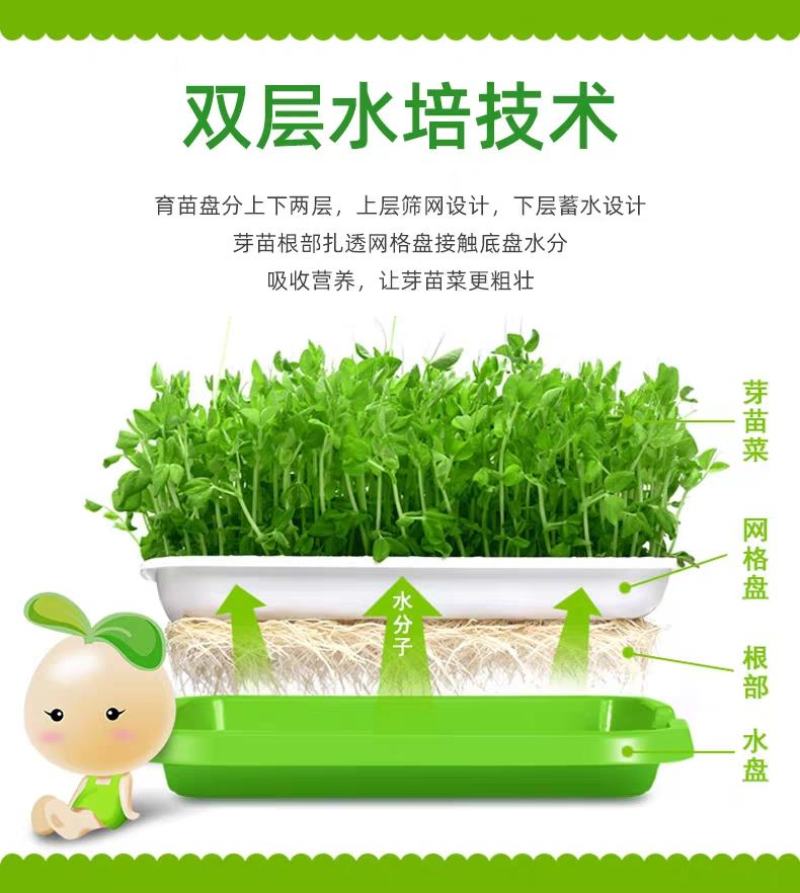豆芽发芽盆芽苗菜育苗托盘无土栽培水培蔬菜设备豌豆种植芽菜