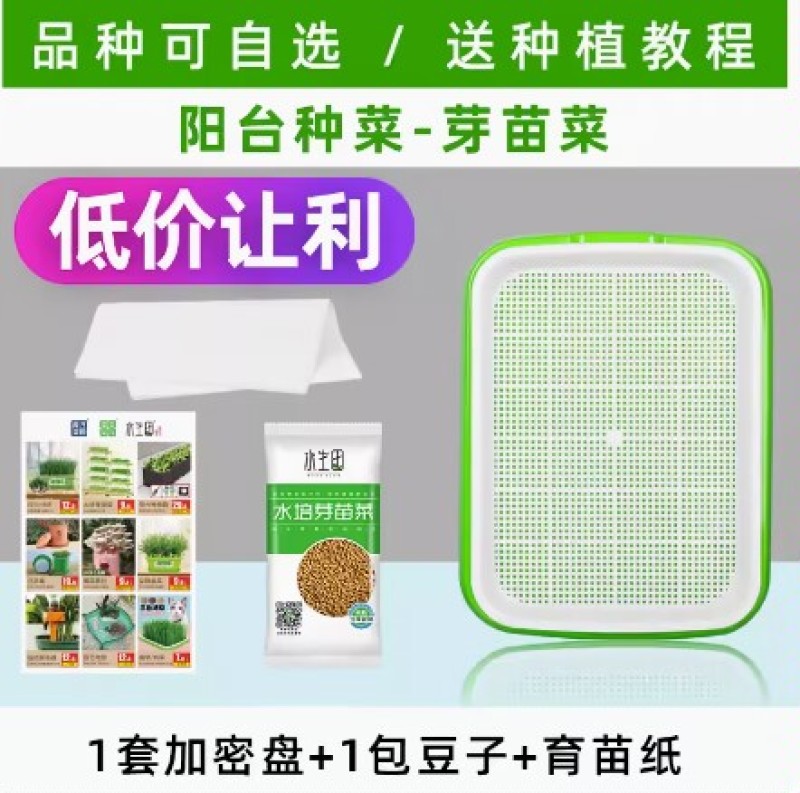 豆芽发芽盆芽苗菜育苗托盘无土栽培水培蔬菜设备豌豆种植芽菜