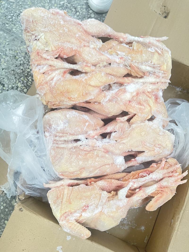 一级三黄鸡白条鸡9.5公斤箱装，6-18只一直有货