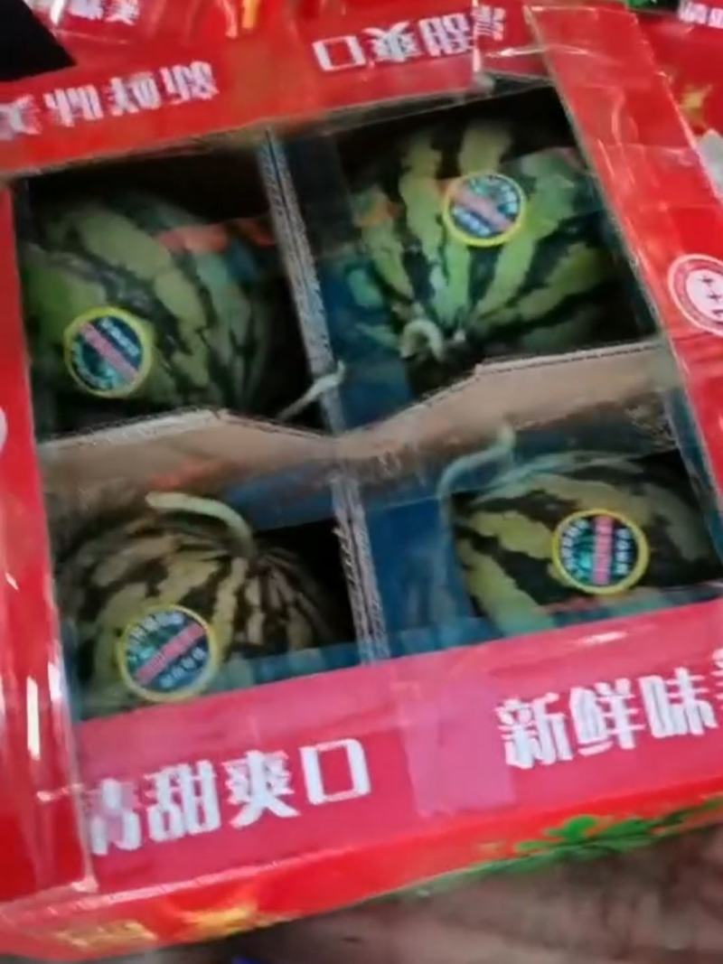 河南麒麟西瓜美都西瓜大量有货可视频看货欢迎来电合作