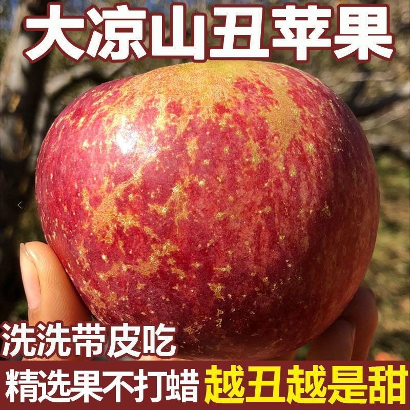 大凉山冰糖心丑苹果大量上市供应市场电商社区团购