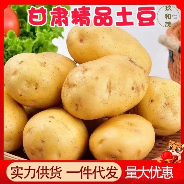 甘肃黄心土豆10斤现挖新鲜马铃薯当季农家自产蔬菜批发山地