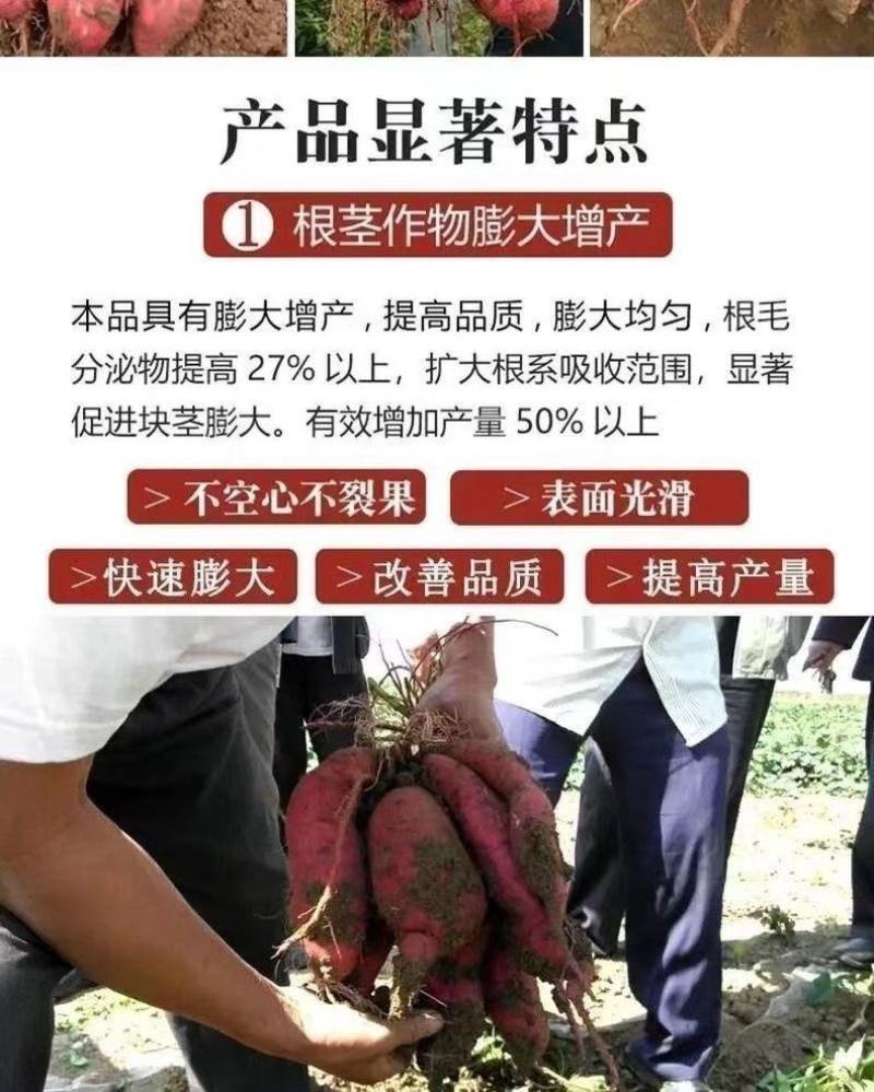 红薯膨大素，地下狂长不裂，控旺增产，增甜