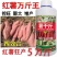 红薯膨大素，地下狂长不裂，控旺增产，增甜