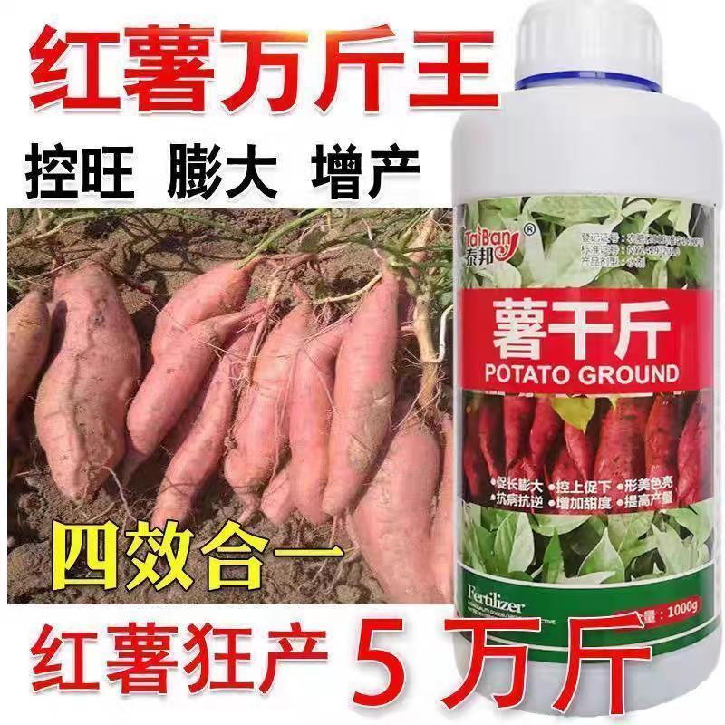 红薯膨大素，地下狂长不裂，控旺增产，增甜