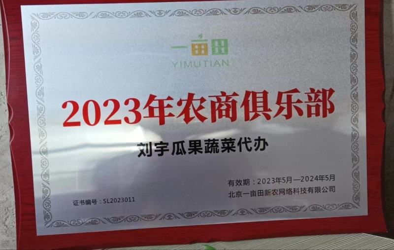 【精选】阳光玫瑰葡萄商丘葡萄现货现摘现发全国发货