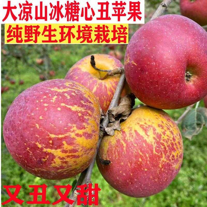 【一件代发，社区团购】大凉山昭通丑冰糖心苹果净重